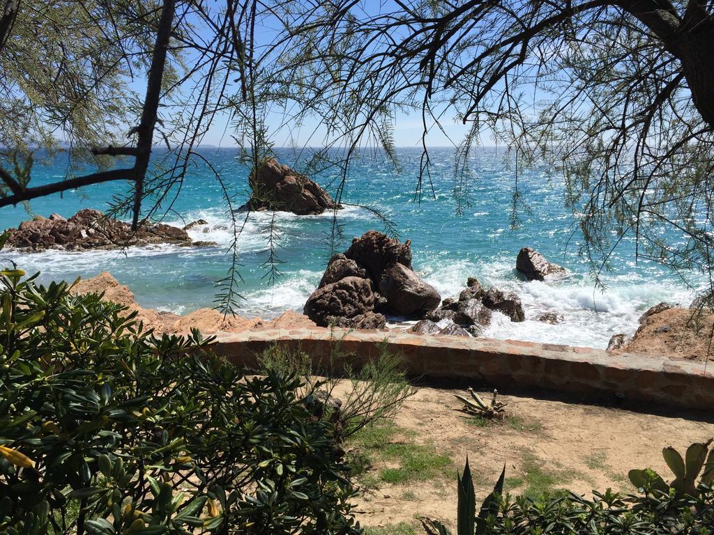Dionysos Vue Mer Cannes Kamer foto